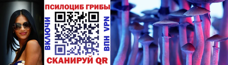 Галлюциногенные грибы MAGIC MUSHROOMS  hydra зеркало  Чусовой 