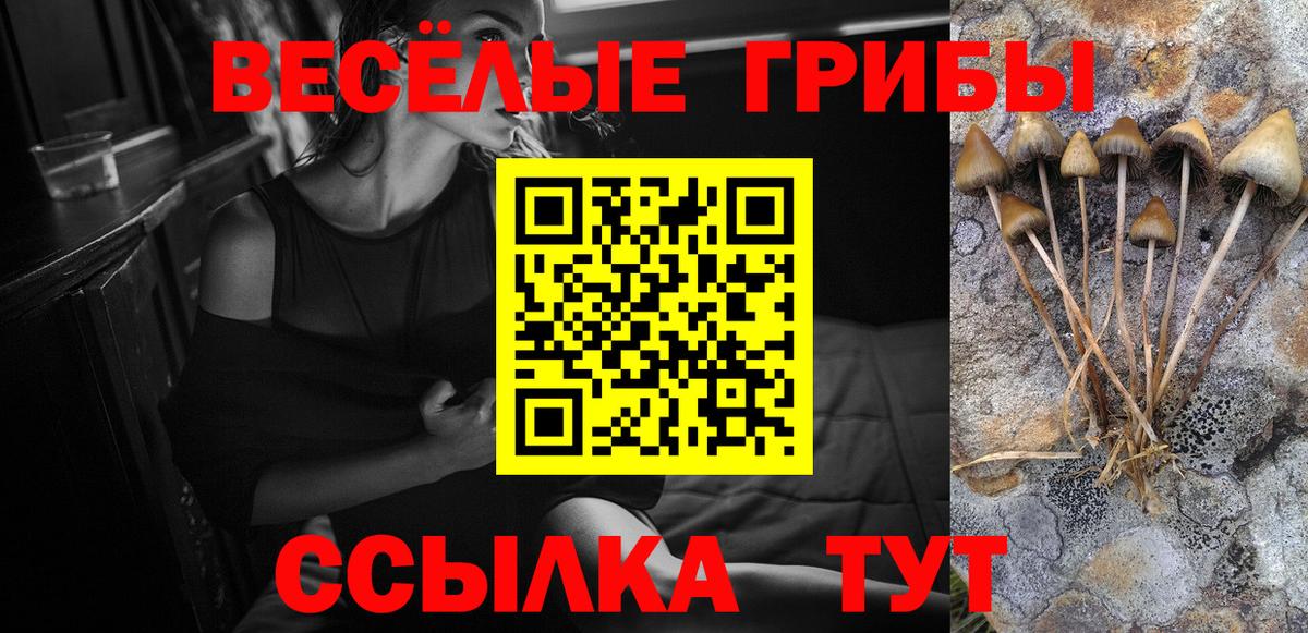 МЕФ Чусовой
