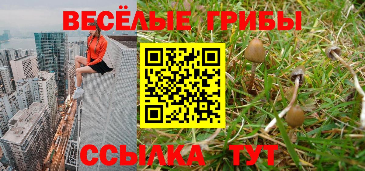 купить наркотик  Галлюциногенные грибы мицелий  Вход с VPN  Чусовой 